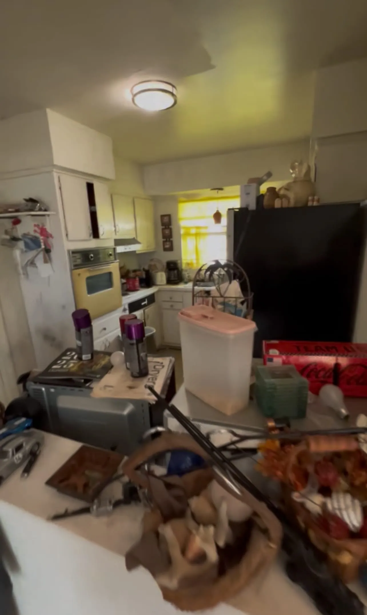 Kitchen before the renovation